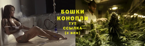 бошки Нея