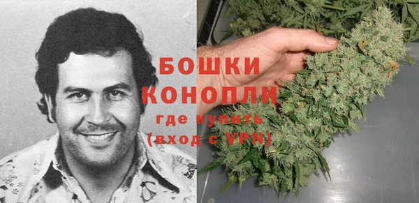 бошки Нея