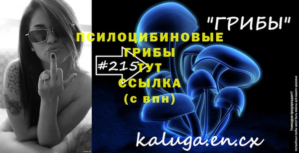 бошки Нея