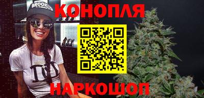 индика Нальчик