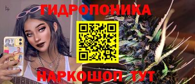 индика Нальчик