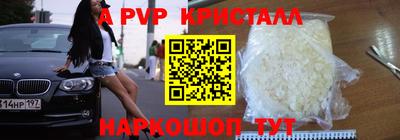 индика Нальчик