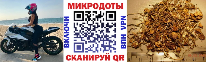KRAKEN вход Сызрань это как зайти Псилоцибиновые грибы MAGIC MUSHROOMS