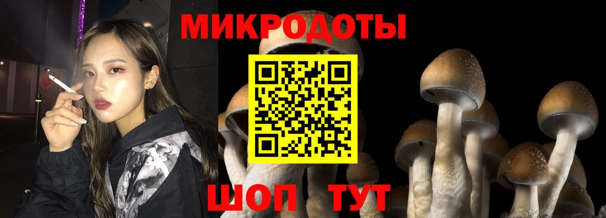 Сызрань  Галлюциногенные грибы Psilocybe  Галлюциногенные грибы Magic Shrooms  Вход с VPN 